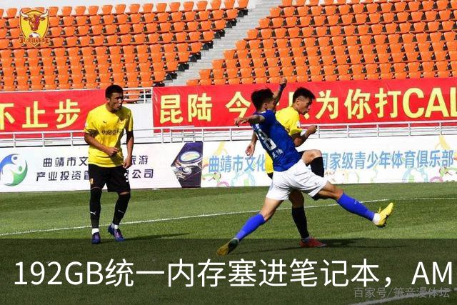 192GB统一内存塞进笔记本，AMD抢先英伟达一天亮出怪兽芯片